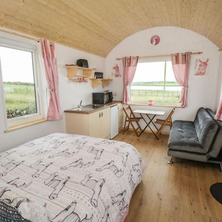 The Beautiful Lazy Llama Shepherd Hut Farm Stay Ballyshannon Esterno foto