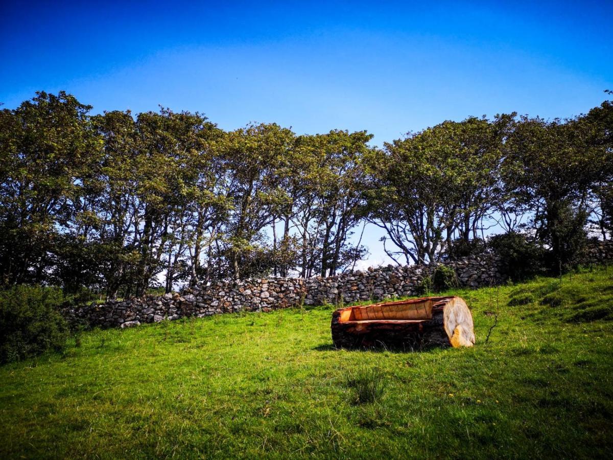 The Beautiful Lazy Llama Shepherd Hut Farm Stay Ballyshannon Esterno foto