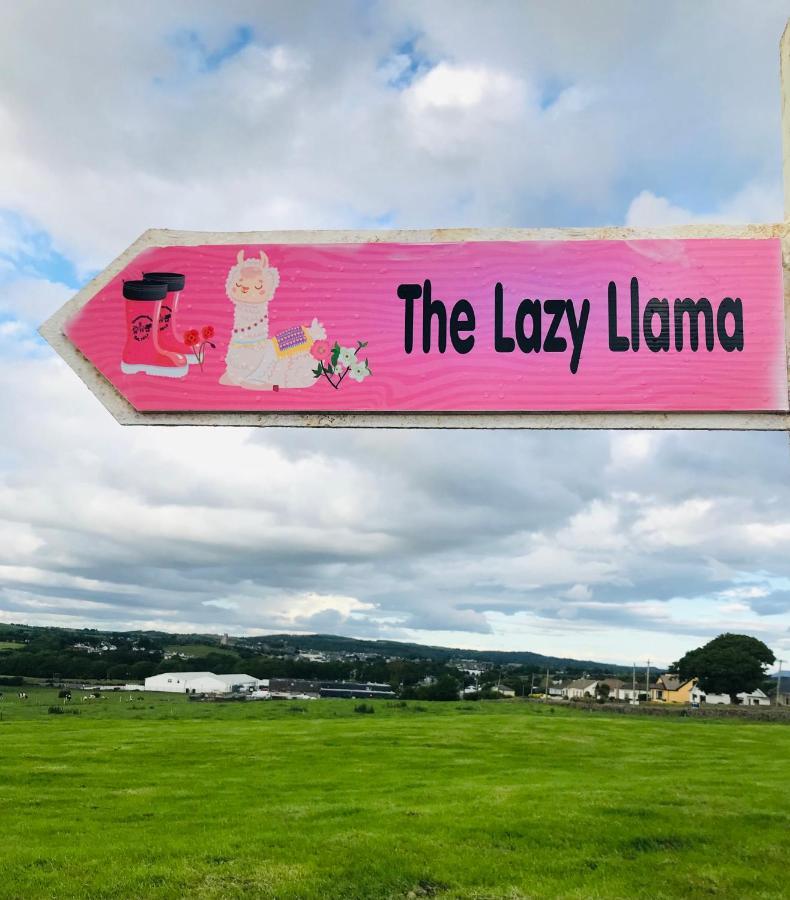 The Beautiful Lazy Llama Shepherd Hut Farm Stay Ballyshannon Esterno foto