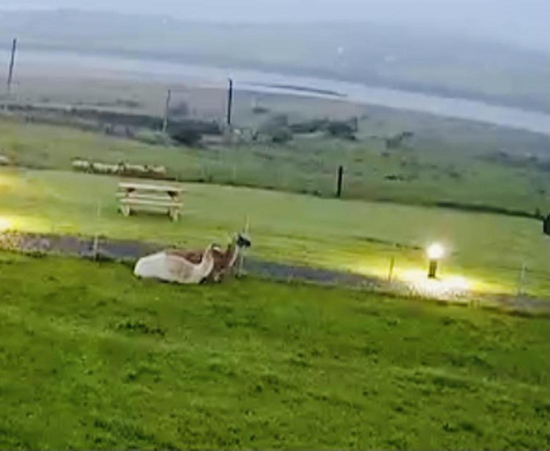 The Beautiful Lazy Llama Shepherd Hut Farm Stay Ballyshannon Esterno foto